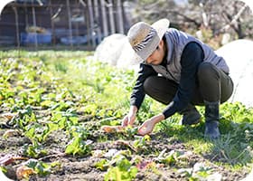 農園作業
